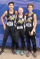AE runners make case for regionals