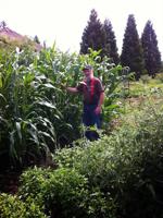 ‘Crop Talks’ are back