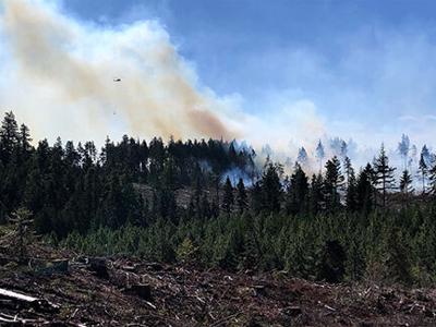 WEB TD HR Wildfire MountFir.jpg
