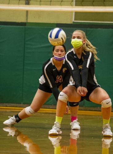 TD VB.jpeg