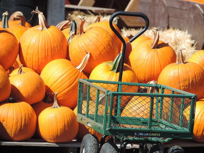 Kaleidoscope: Along the Road