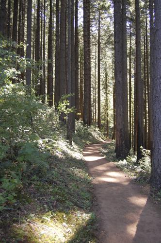 Play it safe in bear territory