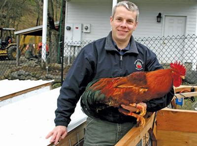 Timber suit demands more BLM logging