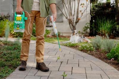 The New Rule Of Summer Yard Care: Let The Dogs Out