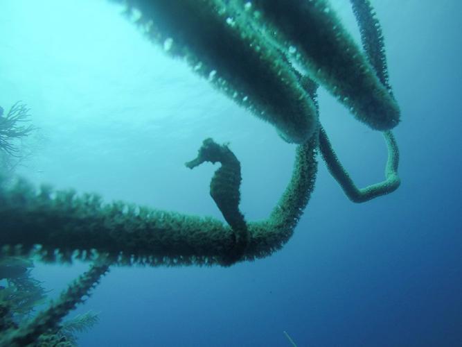 Travelogue Honduras (5).JPG