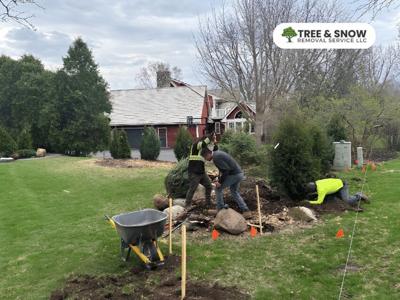 Tree & Snow Removal Services Promotes Arborist-Led Tree Health Assessments for Property Owners