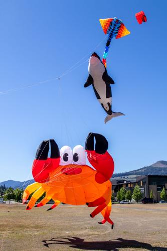 Kites_1819.jpg
