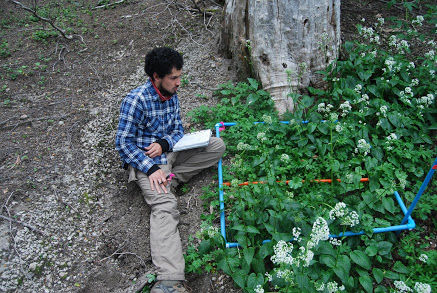 Travelogue: Volcanoes of Chile