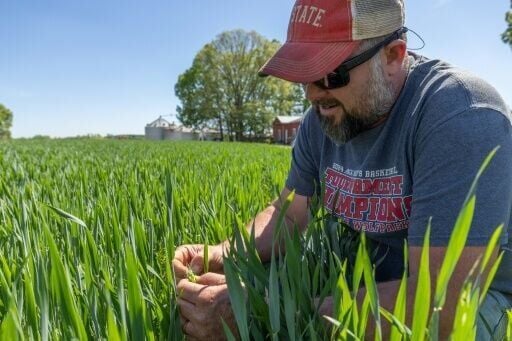 Andy Corriher examines his crops during spring planting season