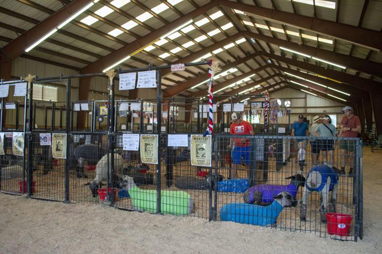 Wasco County Fair