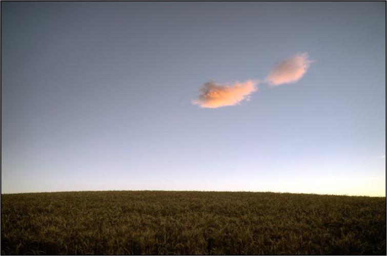 Kaleidoscope: ‘Straightforward vigor’