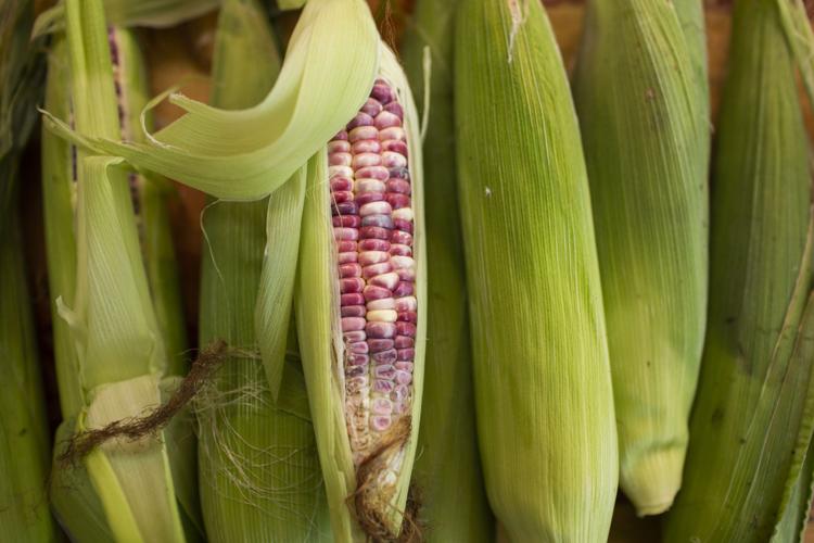 190919_Gorge Grown_Mercado del Valle_70.jpg