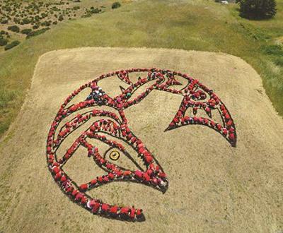 Schools come together for Art for the Sky event