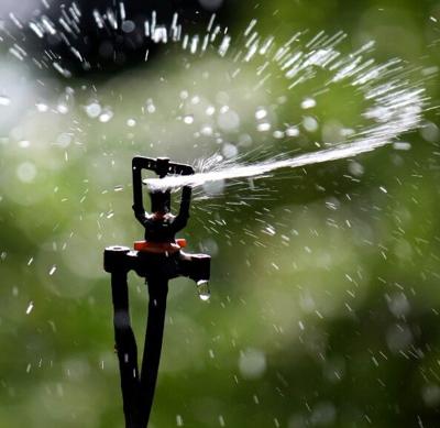 Water wise gardening