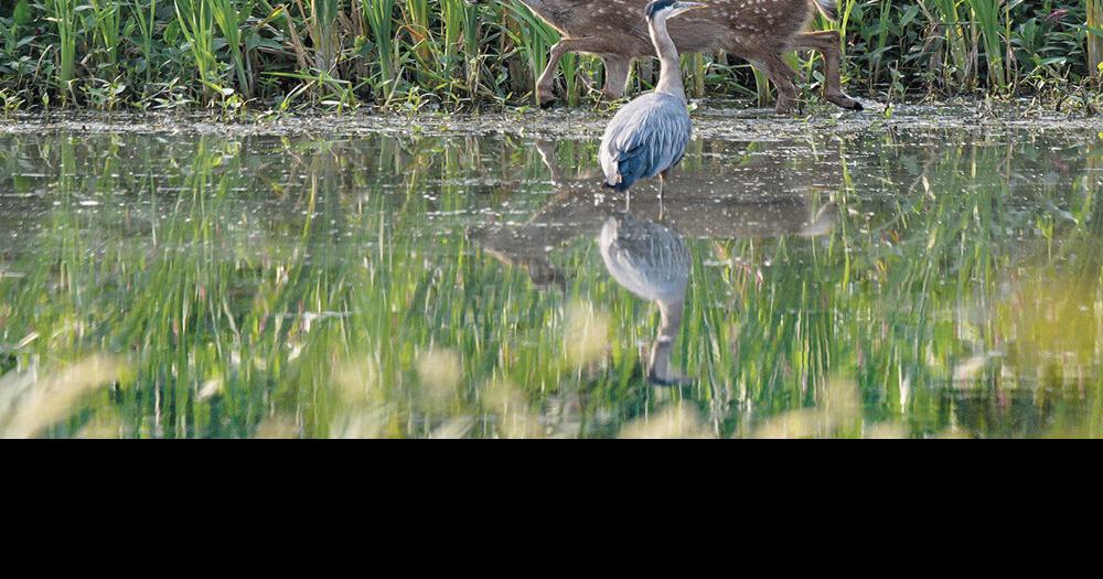 Your voice: Aug. 7, 2024