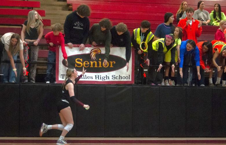 TD_vb_senior_night_0008697.jpg