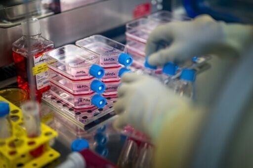 A long rehabilitation process follows the complex graft procedure