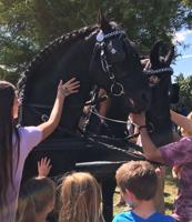 Hood River Saddle Club’s ‘Meet a Horse’ event a success