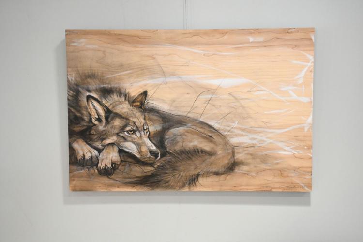 Wolf