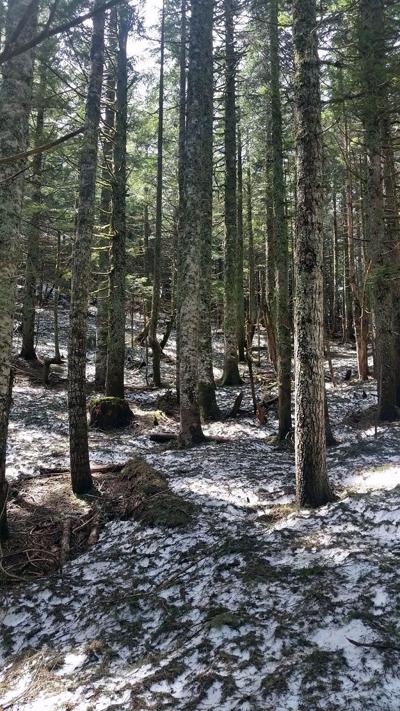 Gorge Explorer: Be mindful of trail conditions; don’t be afraid to turn back