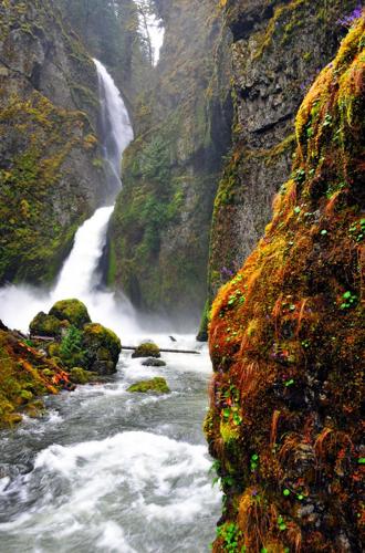 The Porch, April 14 edition