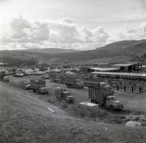 TDC_2018_32_1665 JPEG.jpg