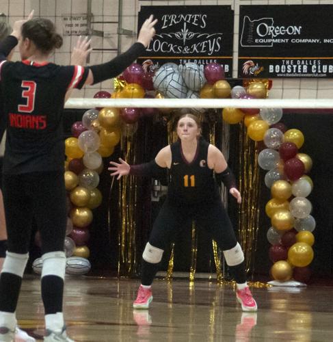 TD_vb_senior_night_0008703.jpg