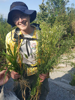 Travelogue: Volcanoes of Chile