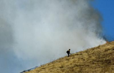 Audit: ODF stretched too thin