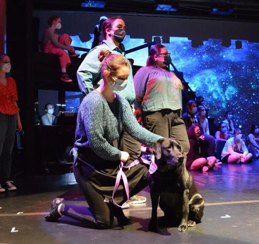 HRVHS Theory of Relativity 2022