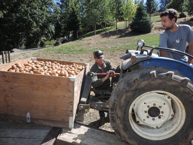 Kaleidoscope: Along the Road