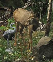 Nose to Nose