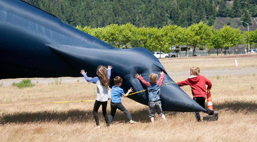 Whale-watching