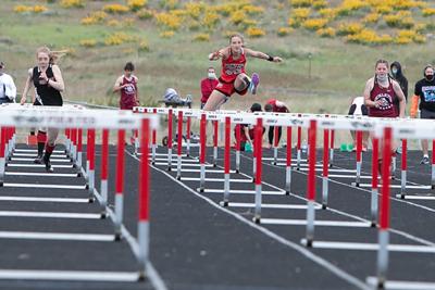 Horizon Hurdles