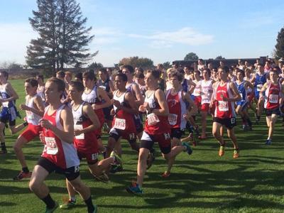 Bruins leave it all on the course at state