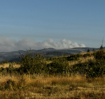 Mount Hood fires sparked