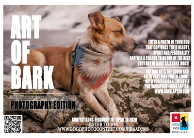 A6 art of bark HRAAD.jpg