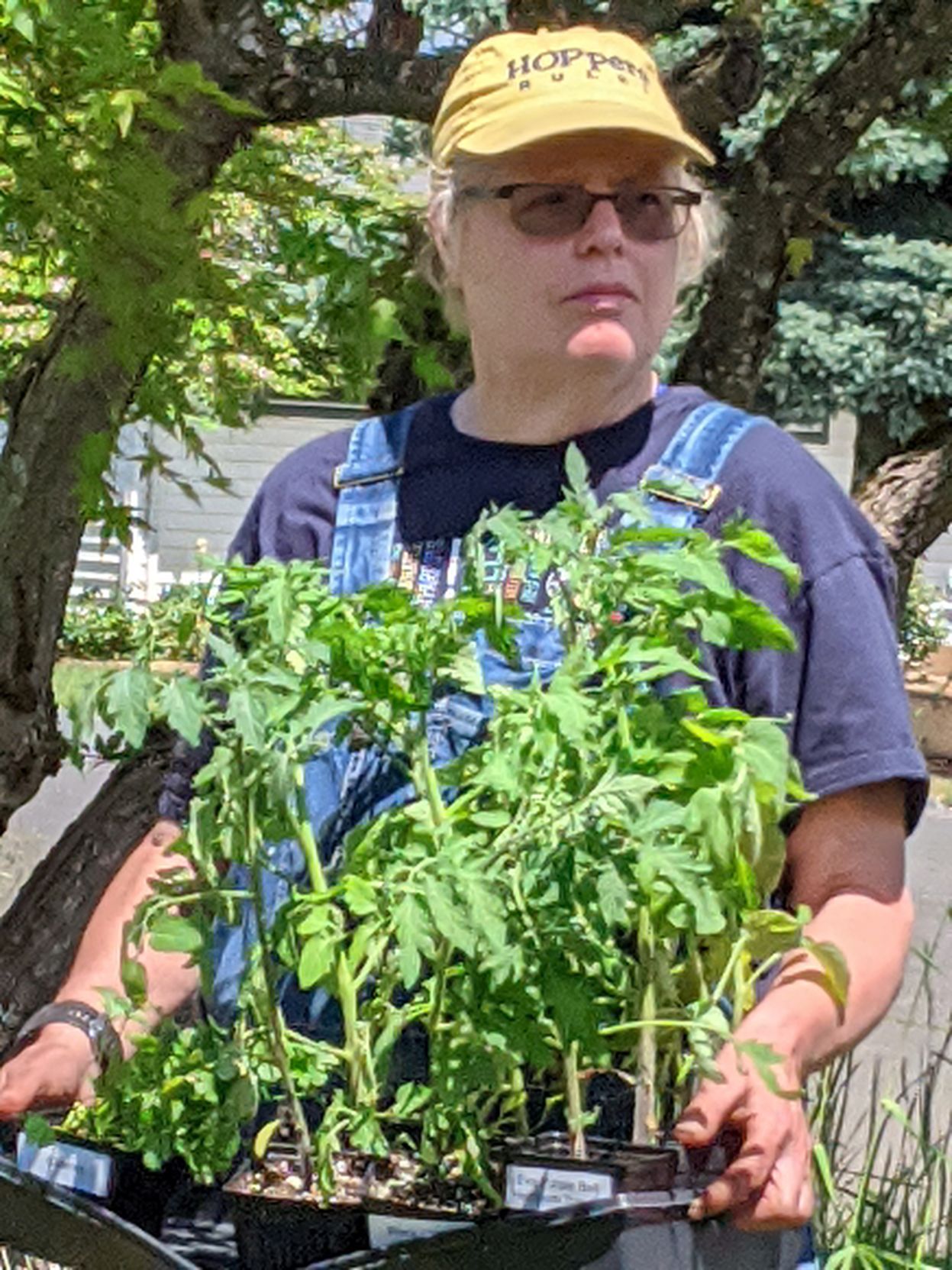 MASTER GARDENERS MG of the Year 2020 - Christie Bradley.jpg