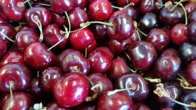 Packer Orchards Farm Place holds Cherry Celebration