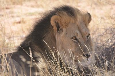 South Africa: WS Couple to Share Trip Details on Dec. 27