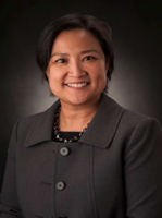 Insitu names inbound CEO