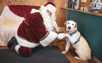 A9 santa paws.jpg