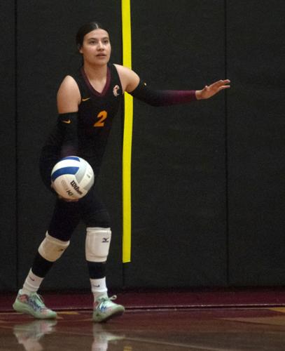 TD_vb_senior_night_0008742.jpg