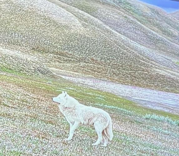 B11 Wild About Nature 1.jpg