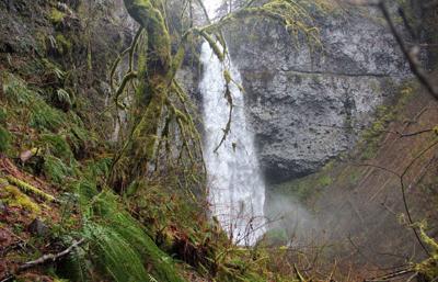 Hidden gem: Oregon’s Niagara Falls are spectacular