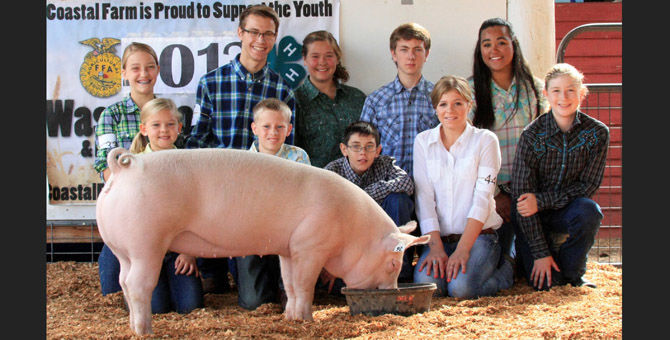 Wasco County Fair sees big 4-H turnout