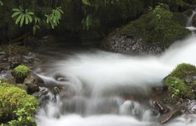 Misty waters