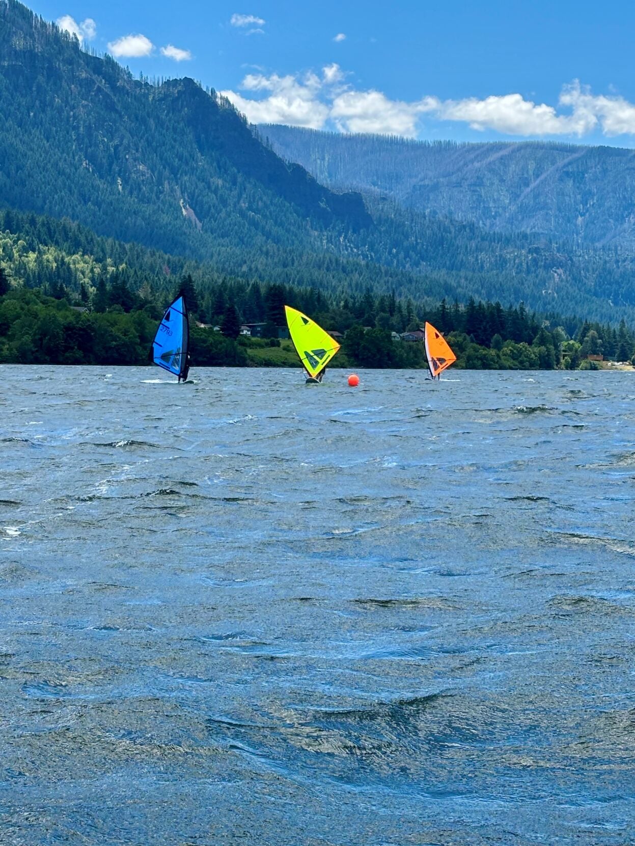 Bradley Wilson also from San Francisco   Yellow sail.jpg