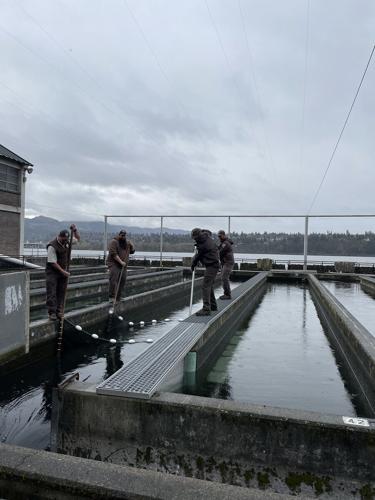 Spring Creek National Fish Hatchery