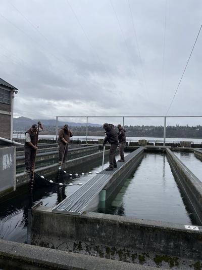 Spring Creek National Fish Hatchery